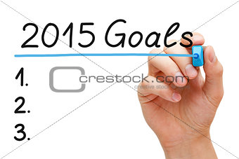 Goals 2015 Hand Blue Marker