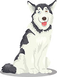 husky or malamute dog cartoon