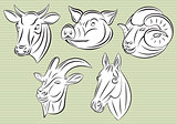 collection of heads animals for design