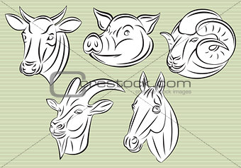 collection of heads animals for design