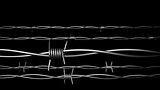 Fance.Barbed wire. Concept.