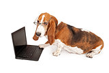 Dog Using a Laptop Computer Isolated on White