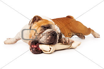 Bulldog Chewing Bone