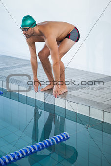 Fit swimmer about to dive into the pool