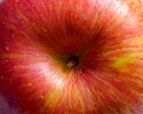 eating apple detail