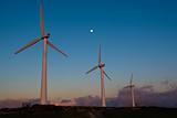 wind mills produse energy