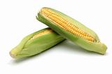 Corn in Cob 2