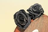Black roses