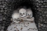 Three Skulls and Coins