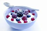 Yogurt with fruits