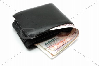 Dollars overflowing from wallet