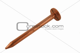 Isolated Copper Nail on white background