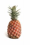 One ripe pineapple on a white background