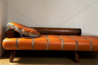 Leather stylish sofa