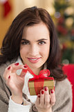 Smiling brunette opening a gift on christmas day