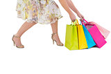 Elegant woman holding shopping bags