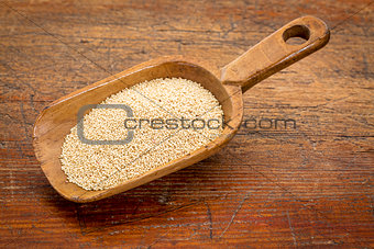 amaranth grain scoop