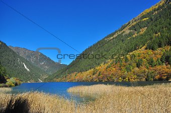 Lake with straw on a valley with trees