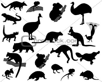 Animals of Australia
