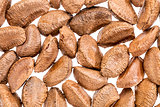 Brazilian nuts in shells 