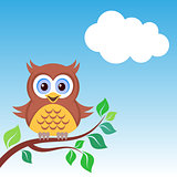 Owl on the branch