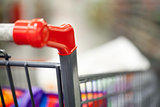 Shopping cart with goods
