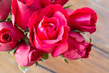 Beautiful red rose up close