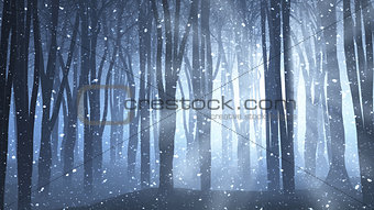 Forest scene on a winters nights