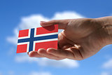 Small norwegian flag 