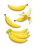 Banana. Tropical fruit.