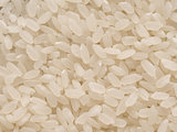 short grain japanese calrose rice food background