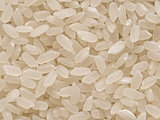 short grain japanese calrose rice food background