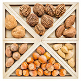 variety of nuts in shells
