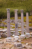 Standing reconstructed columns at Perga in Turkey