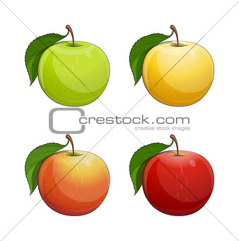 Ripe apple with green leaf