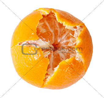 Peeled Juicy Tangerine