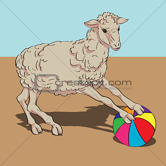sheep playing the ball