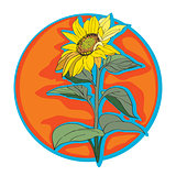 sunflower clip art