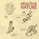Handdrawn Illustration - Health and Nature Set