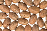 pecan nuts on white background