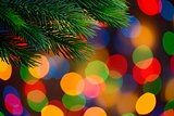 Christmas Background with Fir-tree Branch on the Holiday Lights Background