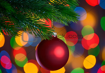 Christmas Ball on the Fir Branch on the Holiday Lights Background