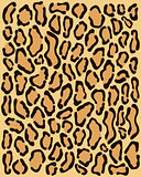 skin of  leopard 2