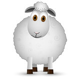 Sheep isolated on white background.