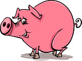 farm pig cartoon illustration