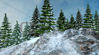 Winter Mountain Landscape with Fir Trees