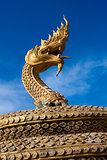 Golden Naga snake in Thailand