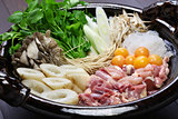 japanese chicken hot pot cuisine, kritanpo nabe with hinaizidori