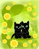 Black Cats and yellow Flowers
