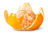 Partially Purified Juicy Tangerine